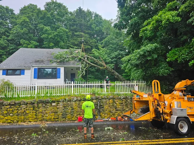 CM Tree Service LLC work photo