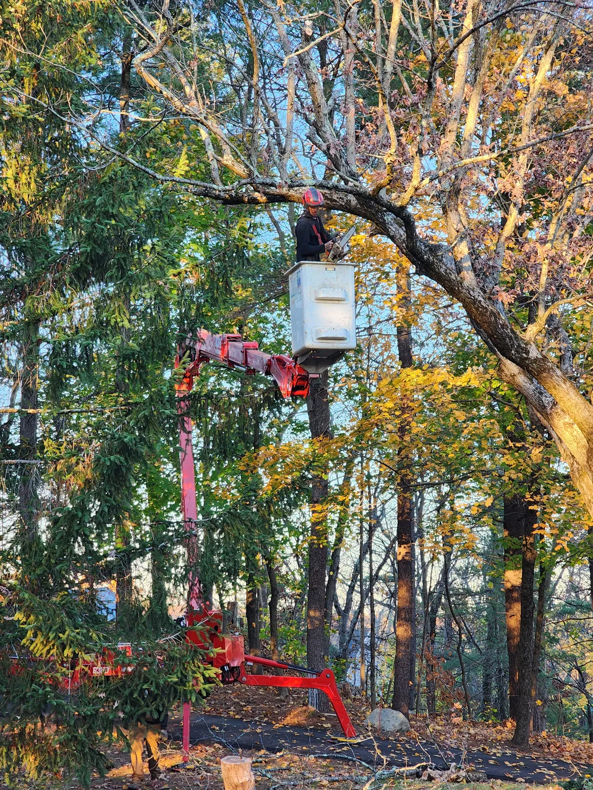 work photo from Google listing