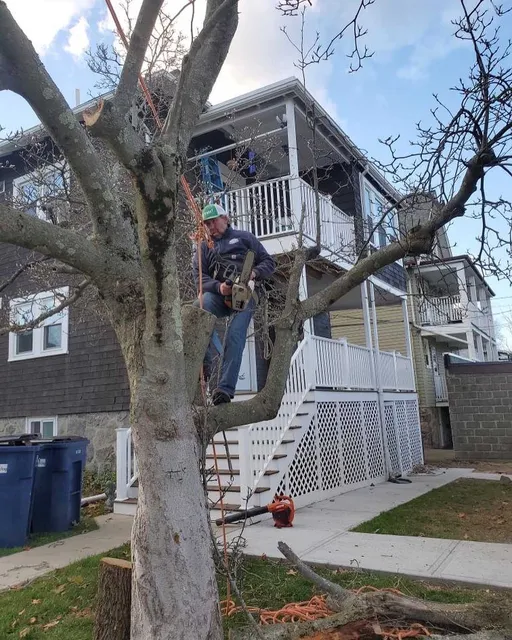 work photo from thoreaulandscape.com