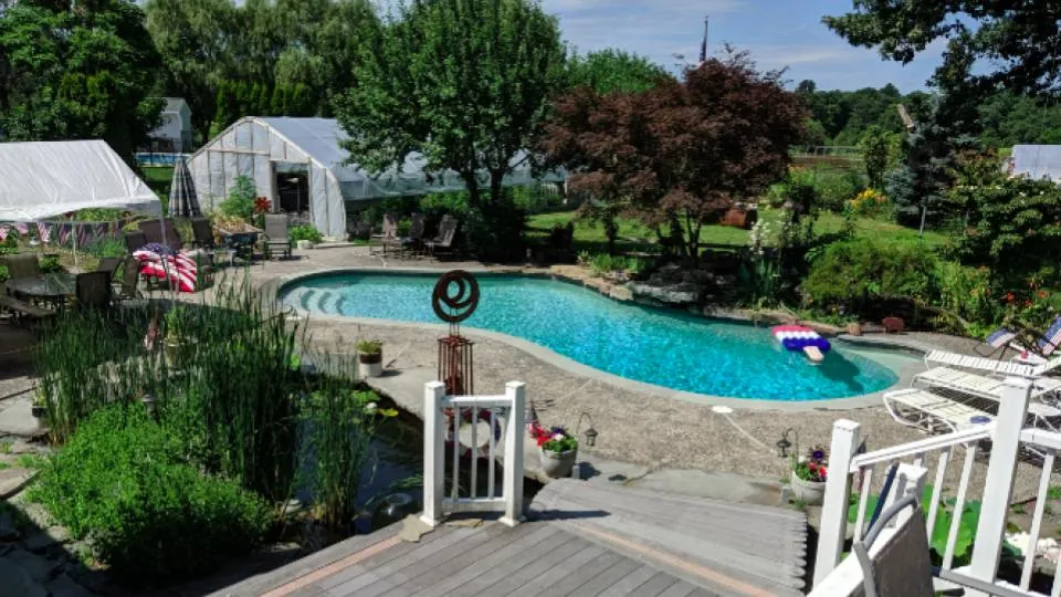 work photo from aquaticdreamscapes.com