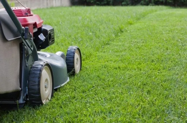work photo from nice-grass.com