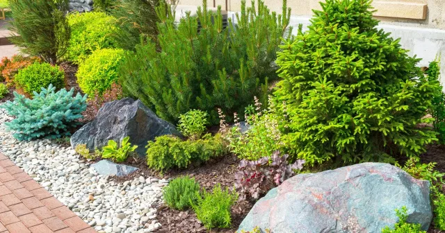 landscaping.jpg