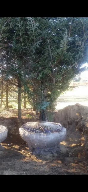 work photo from naturetouchlandscaping.com