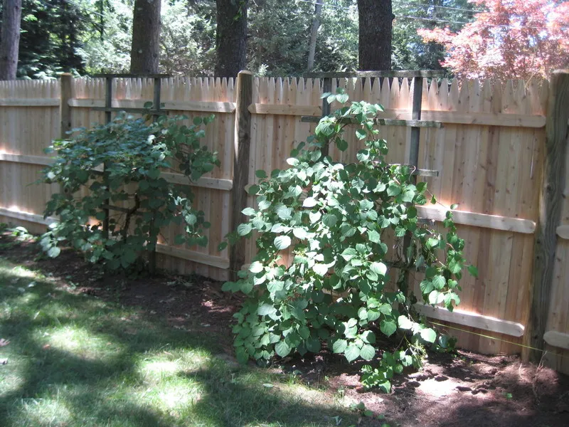 work photo from neighborlyfence.com