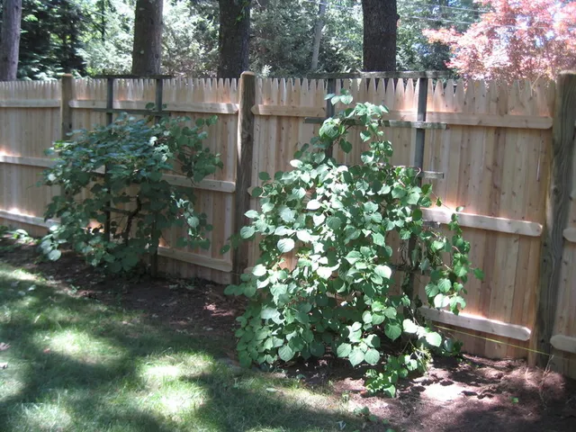 work photo from neighborlyfence.com