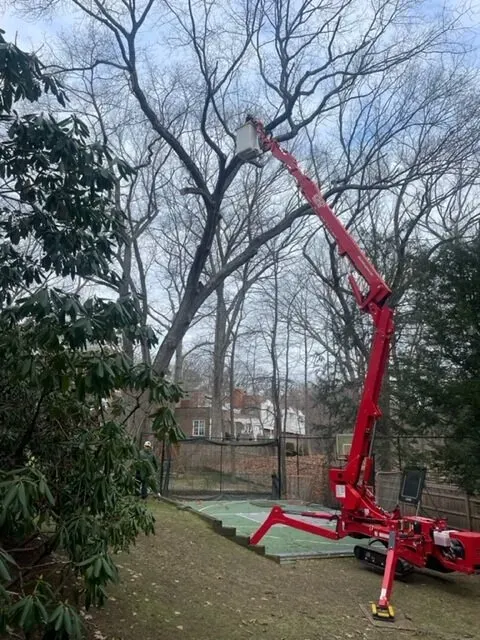 work photo from treetechinc.net