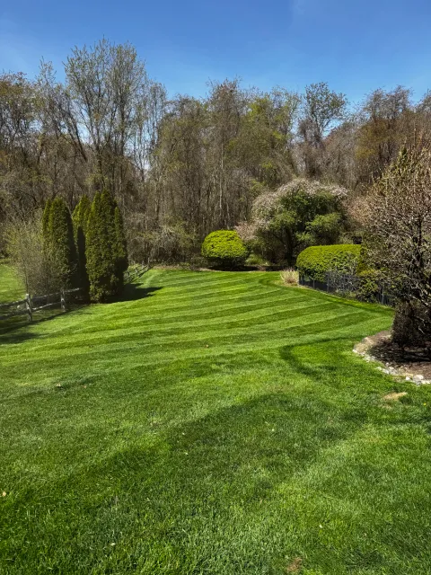 work photo from beaneslawnservice.com