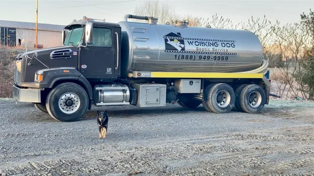 Working Dog Septic Services work photo
