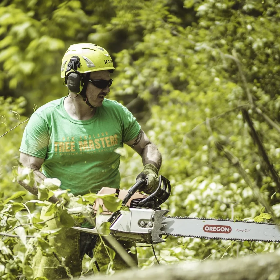 work photo from newenglandtreemasters.com