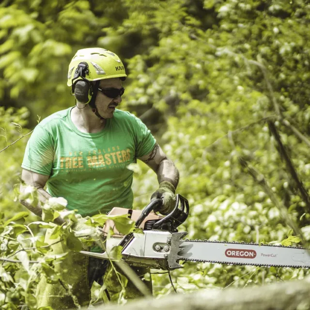 work photo from newenglandtreemasters.com