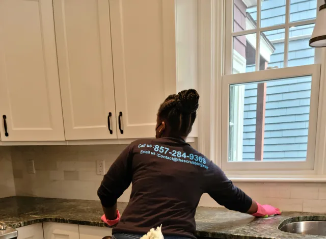 THE SCRUBBING CREW work photo