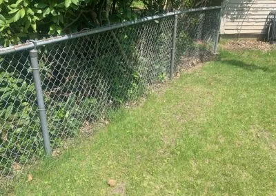 before-lawn-service
