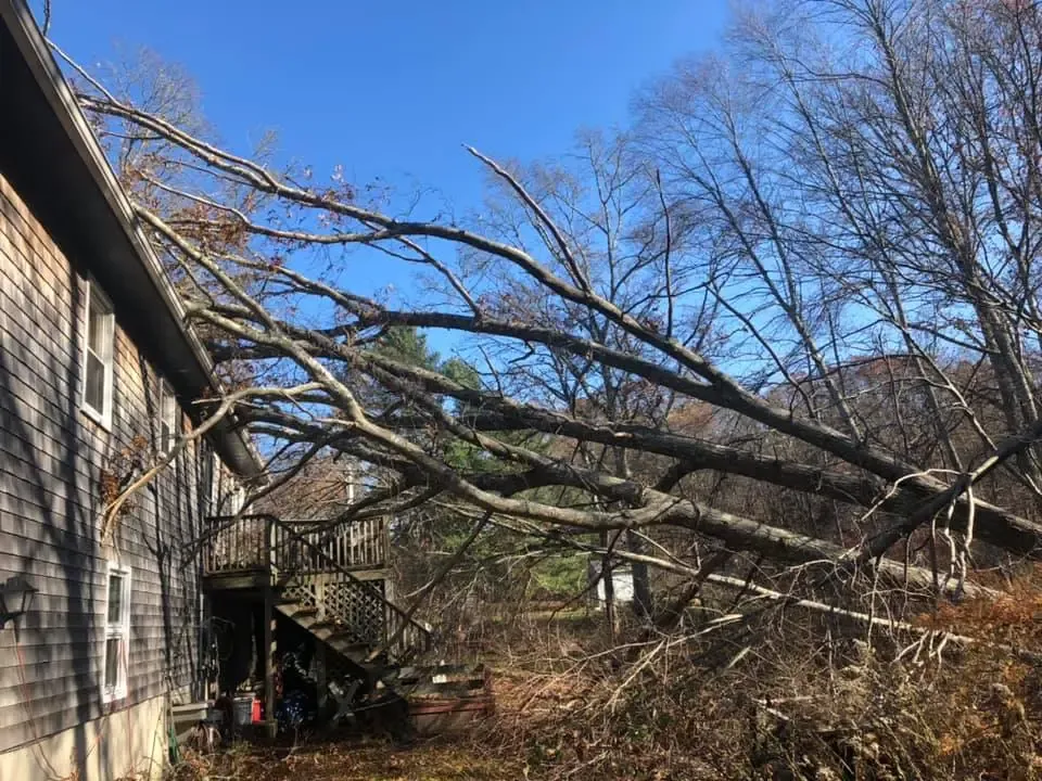 work photo from jdhtreeandlandscaping.com