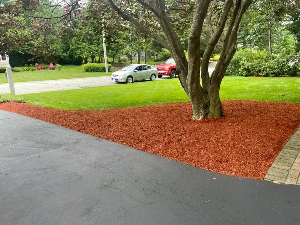 Enhance your landscape with our expert mulch installation service, boosting curb appeal and soil health. Our skilled team ensures even application for optimal moisture retention and weed prevention in your garden or lawn beds. for Witt Excavating in Hudson, NH