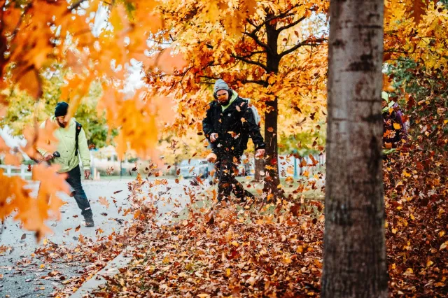 Seasonal landscape maintenance during autumn, including leaf removal and garden bed preparation for Vermont homes and businesses.