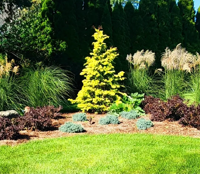 Seven Maples Landscaping work photo