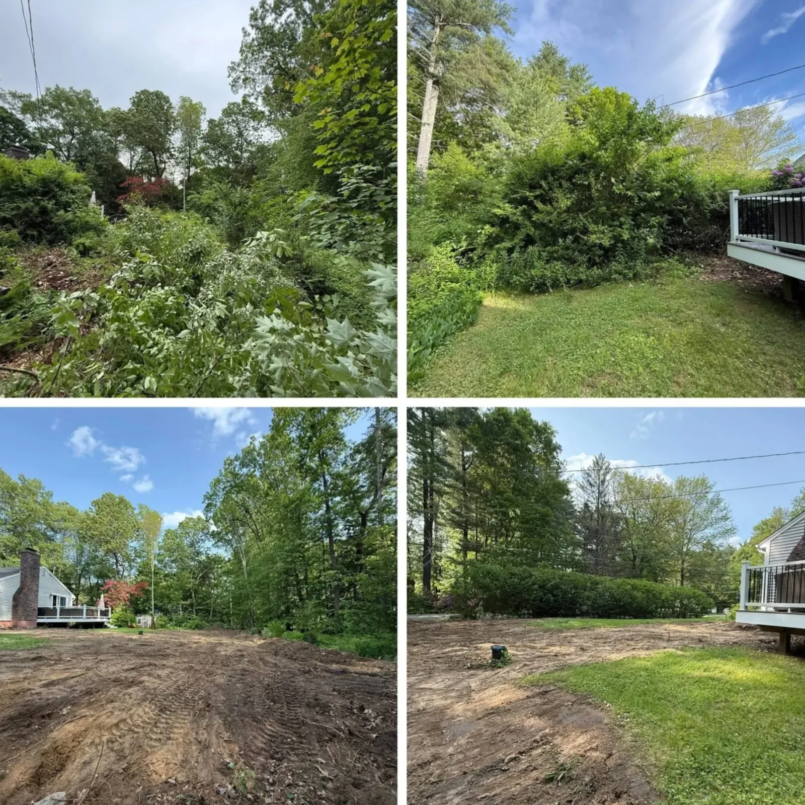 Progression of a yard renovation showing overgrown vegetation, a cleared grassy area, and finally a cleared yard with visible ground preparation.