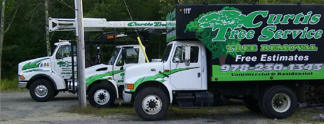 work photo from curtistreeservice.com
