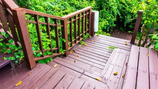 A wooden deck with stairs leading up to a lush green forest.