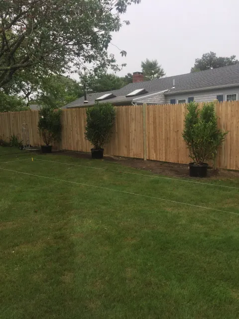 Backyard with freshly planted trees in pots along a wooden fence with grass lawn and nearby house.