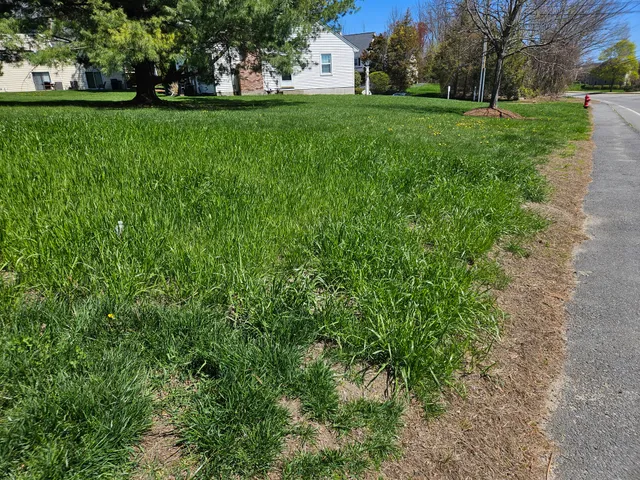 Proscape, Llc work photo