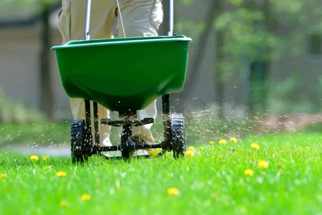work photo from proturfsvc.com