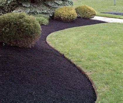 work photo from ramirezinternationallandscaping.bestprosolution.com