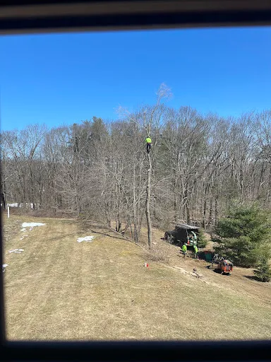 Review photo by John Gleason