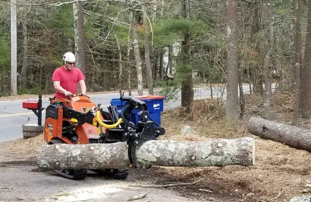 Cooks Tree Care Fallen Emergency Tree Removal MA.jpg