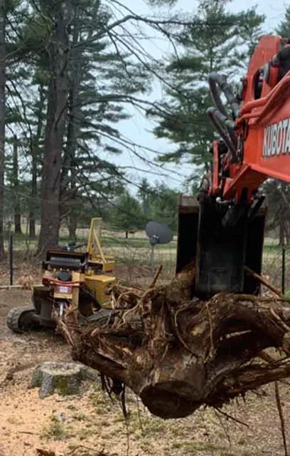 work photo from northeaststumpgrindingllc.com