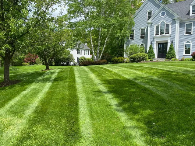 Martins K Landscape work photo