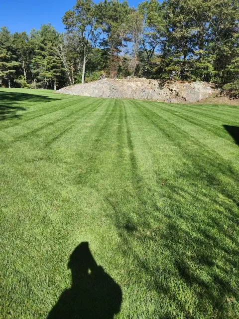 Fresh mowing lines on a large residential lawn in Massachusetts