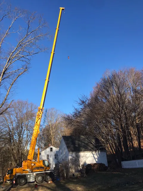 Rustys Tree Service researched project photo