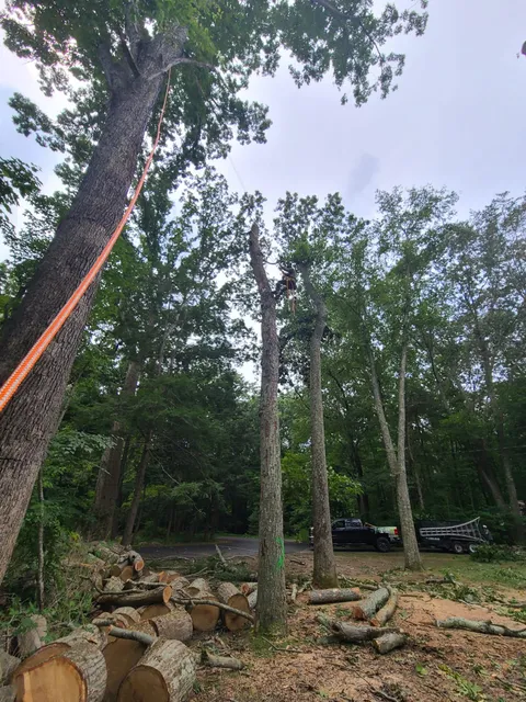 work photo from djlandscapingservicesllc.com