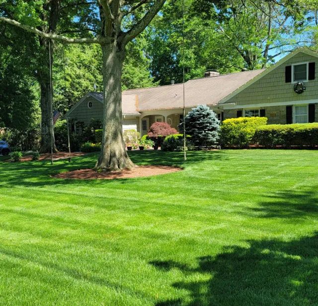 KDW Lawn Service work photo