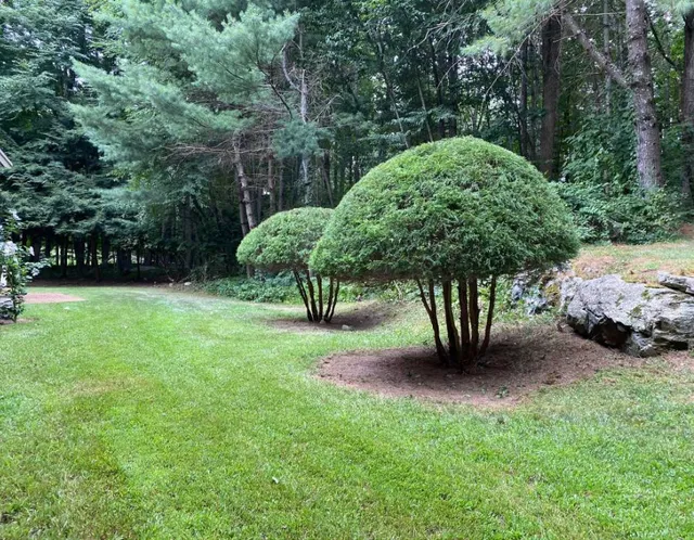 work photo from enriquezlandscaperi.com