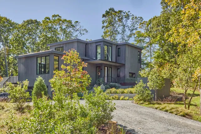 Rewilded by Design