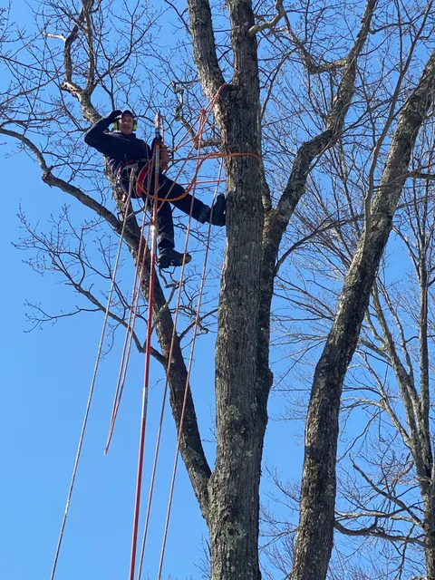 Clearwood Timber LLC work photo