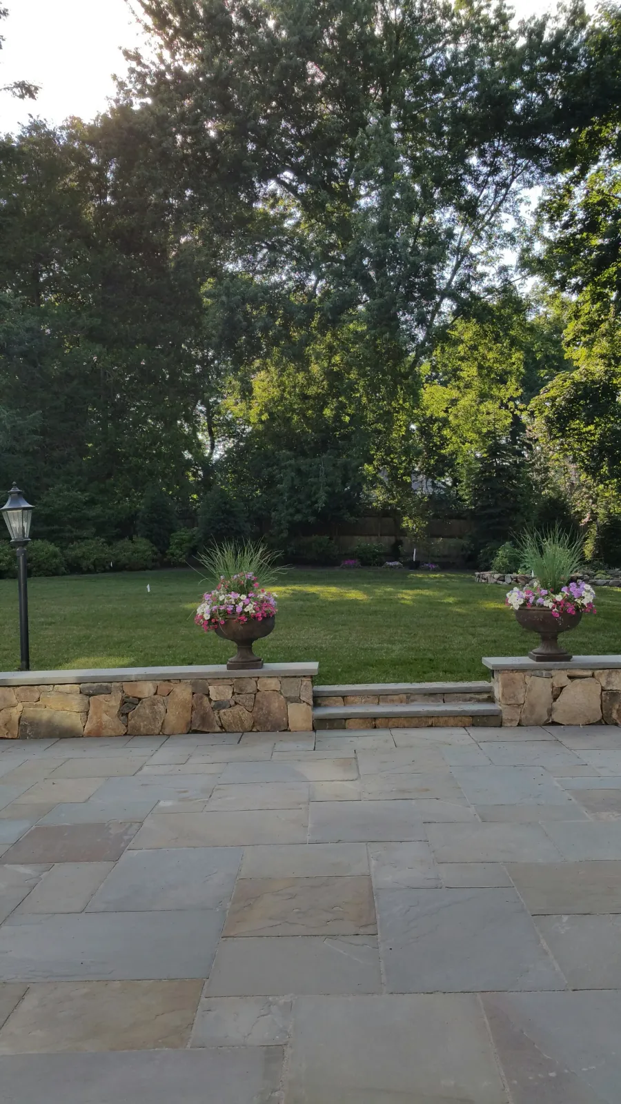 20160705_175016_resized (1).jpg