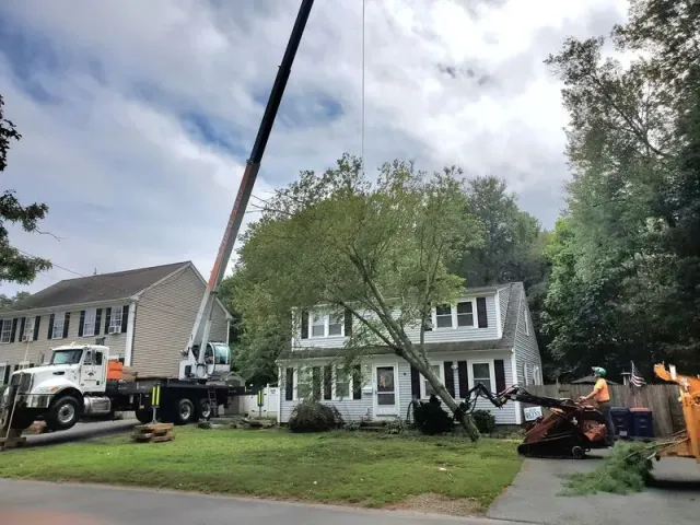 Crane lifting tree debris beside a white house with workers and equipment in a suburban yard