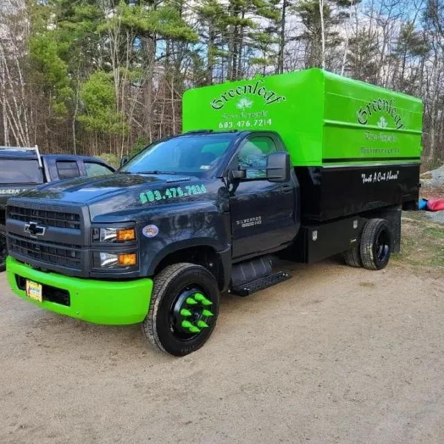 A green and black truck is parked on a dirt road
