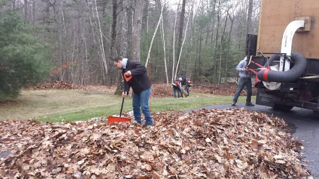 Landscaping Maintenance by Sweeet Landsacping