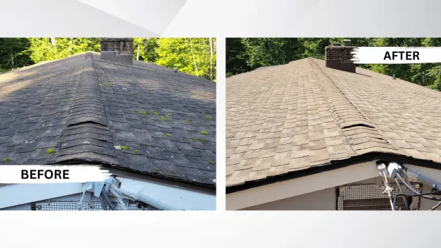 Roof cleaning, pressure washing, mold