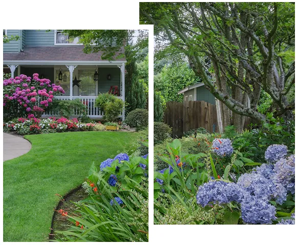 Quality Landscaping
