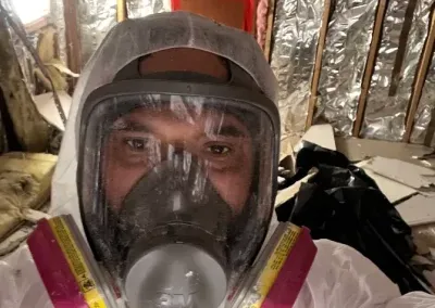 Professional Mold Removal Services