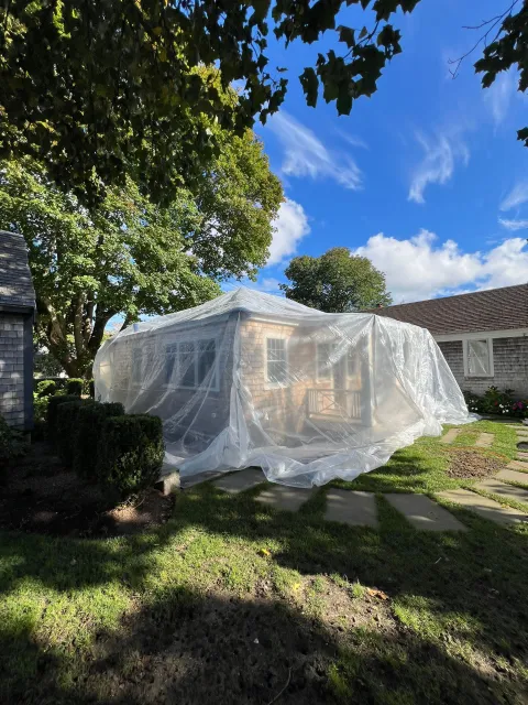 Flynn Pest Control work photo