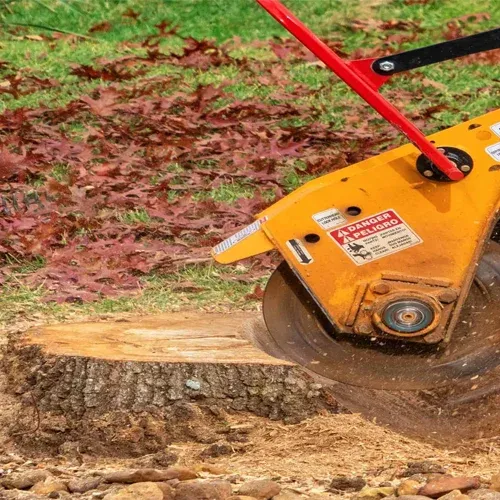 Stump-Removal​​