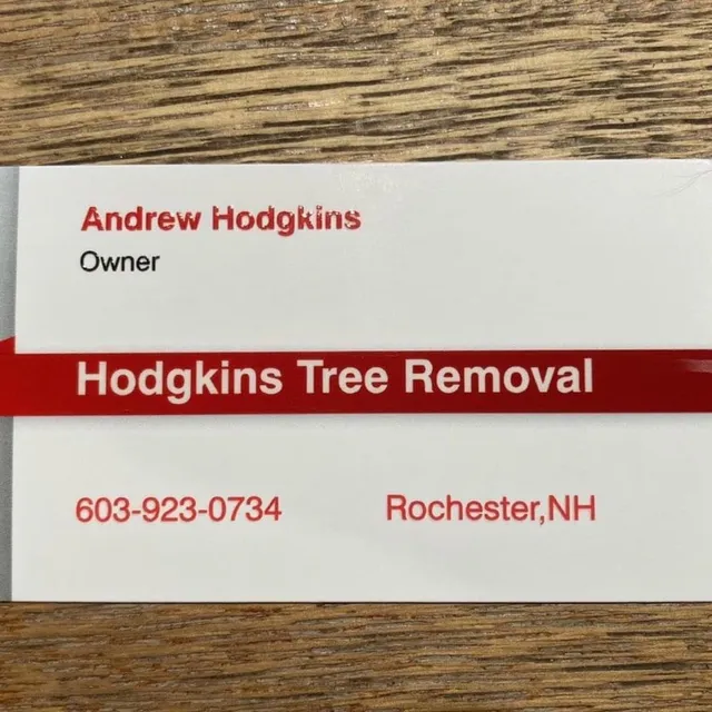 Hodgkins Tree Removal work photo