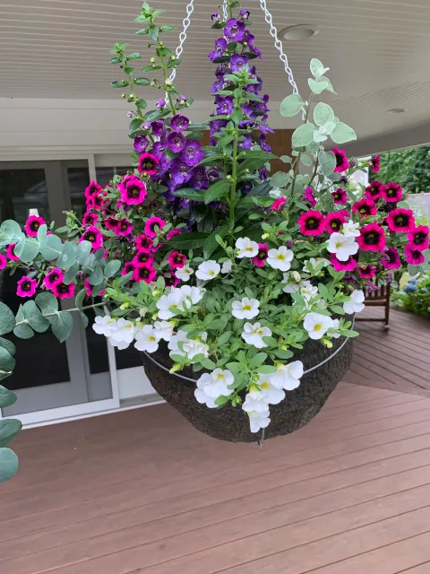 Hanging basket of purple, white, and pink flowers on a porch