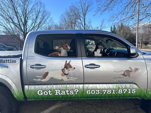 Ratology work photo